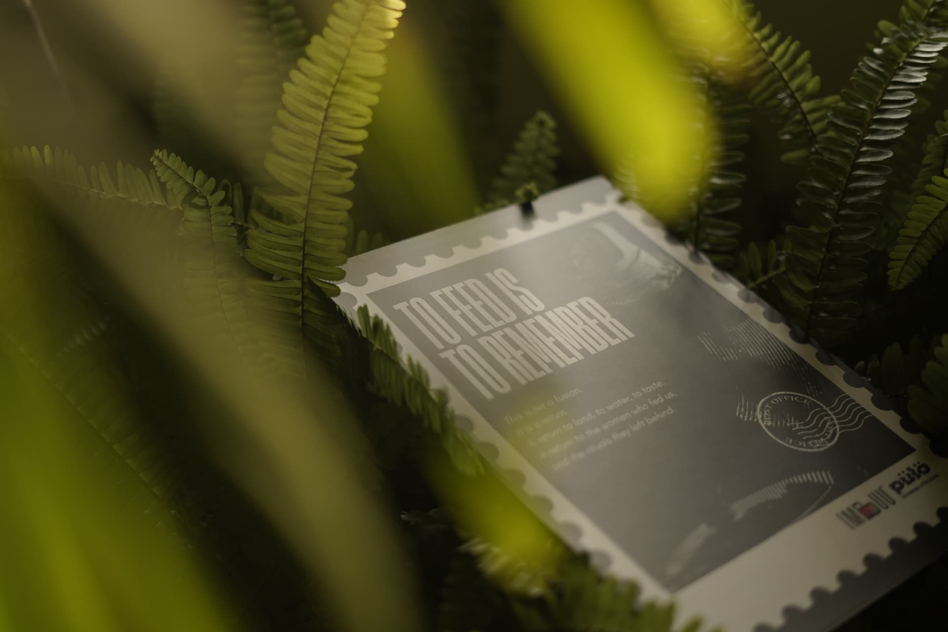 Still from Pülö film showing boat on water