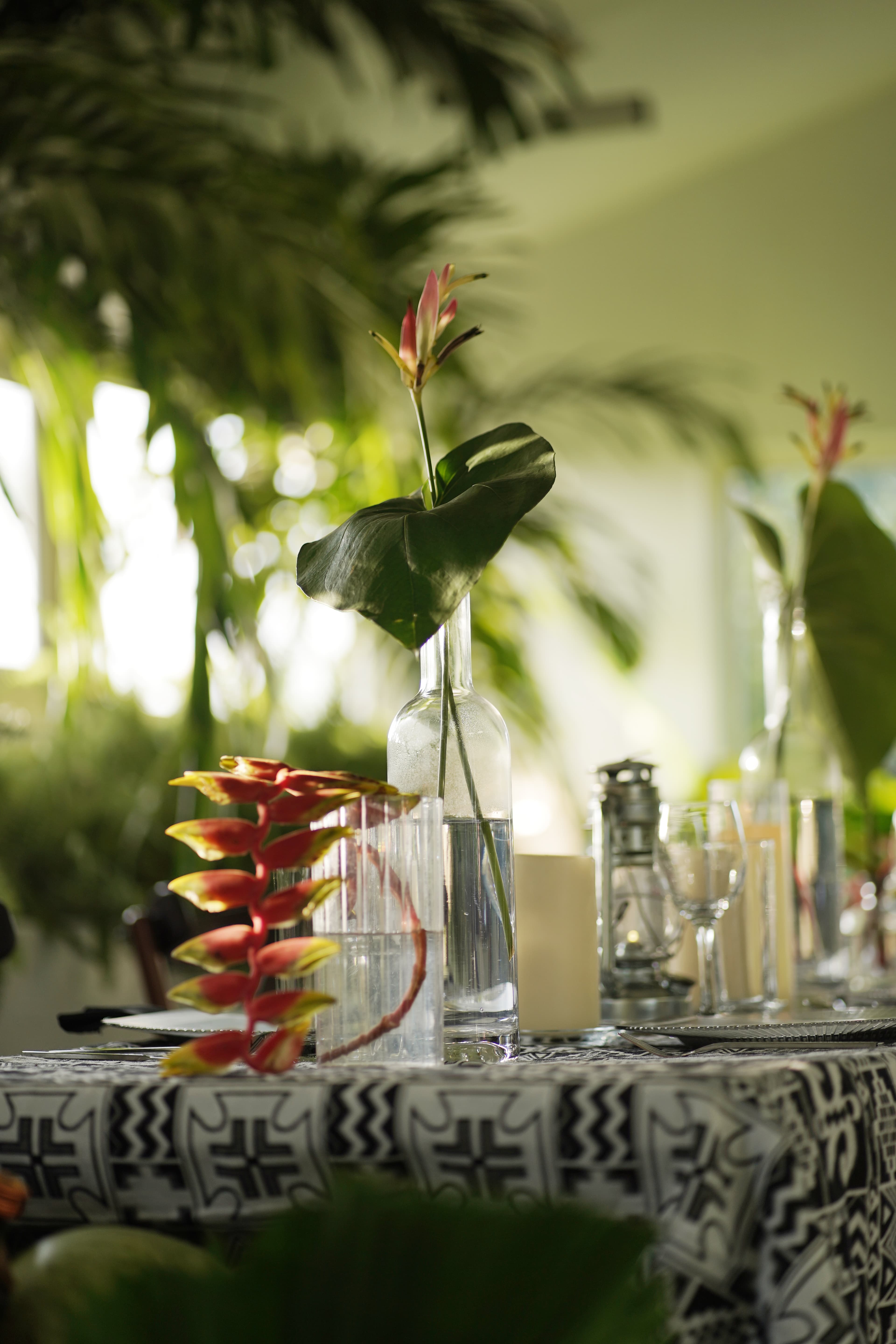 Apalapa paired with fried songu